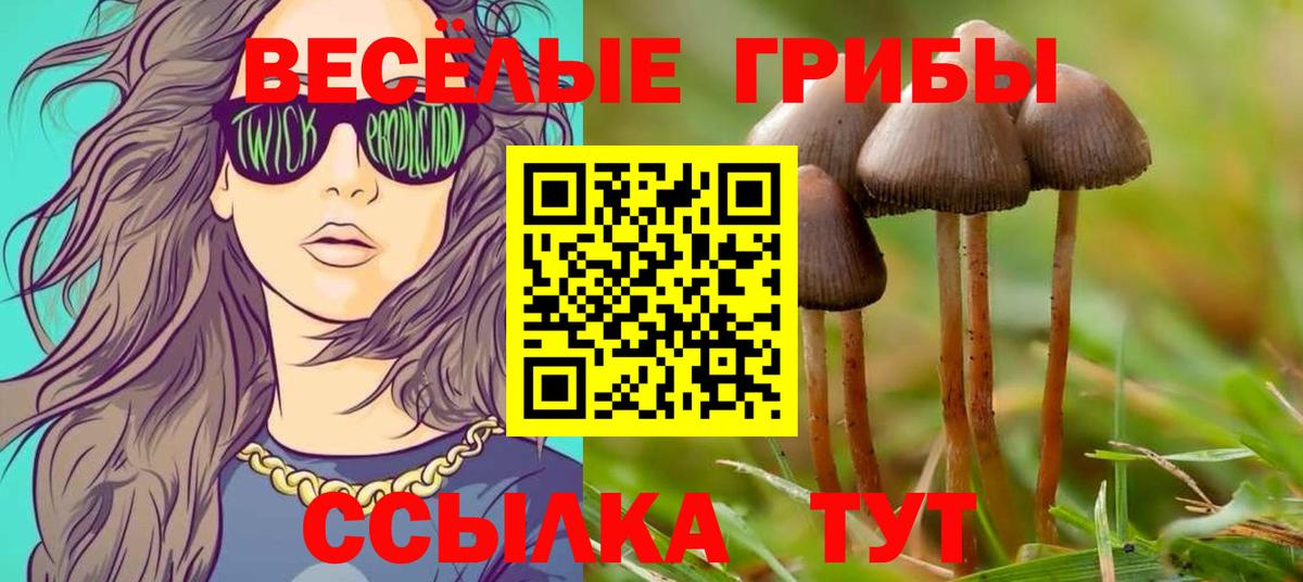 Ртищево  Галлюциногенные грибы MAGIC MUSHROOMS  Псилоцибиновые грибы мицелий  Вход с VPN 